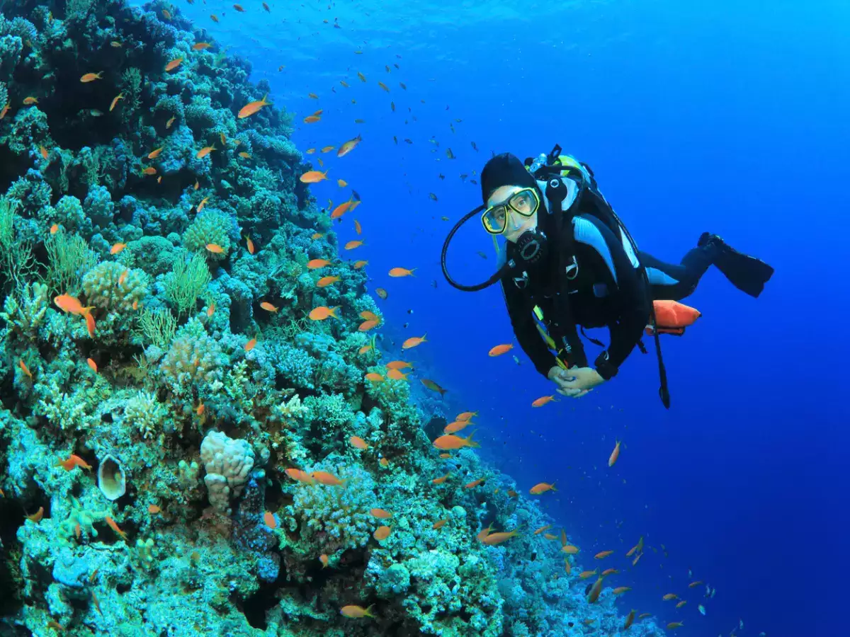 Unique Places to Take a Dive